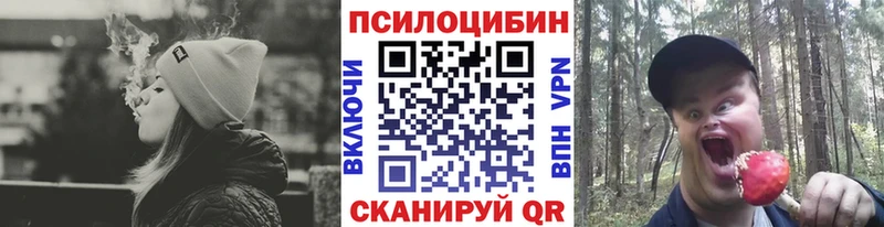 Псилоцибиновые грибы Psilocybe  Кумертау 